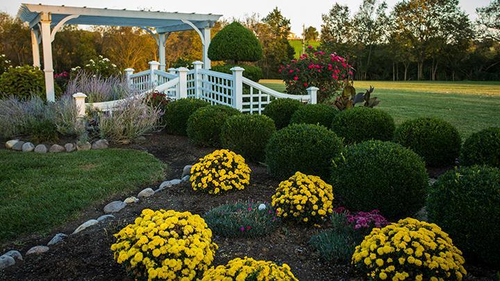 Rabbit Creek Bed & Breakfast Versailles Dış mekan fotoğraf